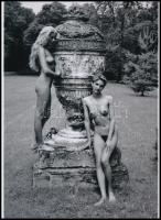 cca 1987 A kert legszebb díszei, Menesdorfer Lajos (1941-2005) budapesti fotóművész hagyatékából 1 db modern nagyítás, 21x15 cm