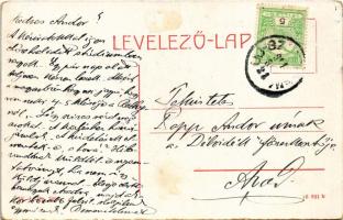 1911 Újszentanna, Új-Szt.-Anna, Szentanna, Santana; M. kir. állami polgári fiúiskola, Frank üzlete. ...