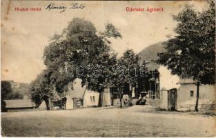 1923 Almásegres, Ágris, Agrisu Mare; Fő utcai részlet / main street (b)