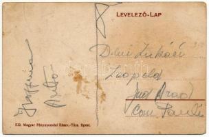 Ópálos, Ó-Pálos, Ópaulis, Paulis (Arad-Hegyalja); szüret ökrökkel, erdélyi folklór / harvest with ox...