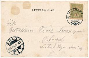 1905 Világos, Siria; várrom, Fő utca. Weber J. kiadása / castle ruins, main street. Art Nouveau, flo...