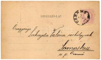 1899 (Vorläufer) Pankota, Pancota; Fő tér / main square (vágott / cut)