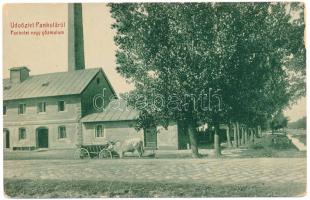 1912 Pankota, Pancota; Nagy gőzmalom. W.L. Bp. 5428. / steam mill (fa)