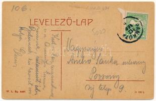 1912 Pankota, Pancota; Nagy gőzmalom. W.L. Bp. 5428. / steam mill (fa)