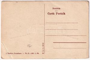 Vajdahunyad, Hunedoara; Vasgyár, vaskohók, igazgatósági épület / Furnalele uzinelor de fier, Edifici...