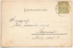 Szentágota, Agnetheln, Agnita; Marktplatz / Piactér, M. Lang & Fia, Gunne Testvérek, Wilhelm Wag...