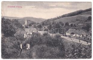 1908 Előpatak, Valcele; látkép / general view (szakadás / tear)