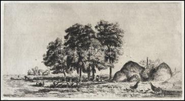 Boldizsár István (1897-1984): Pulykák. Rézkarc, merített papír, jelzett. Lap széle kissé sérült. 15,...