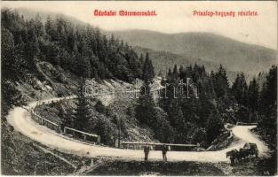 1909 Priszlop-hegység, Prislop (Máramaros, Maramures); Kaufman Ábrahám és fiai kiadása