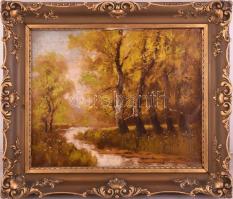 Olvashatatlan jelzéssel (balra lent), magyar festő, XX. sz. első fele: Erdőbelső. Olaj, vászon. Dekoratív, kissé sérült fakeretben. 40x50 cm