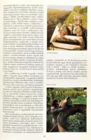 Borok könyve. Szerk.: Dr. Hajós Gyöngyi. Bp., 1997, Kossuth. Színes fotókkal illusztrálva. Kiadói eg...