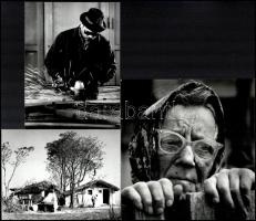 cca 1975 Vincze János (1922-1999) kecskeméti fotóművész hagyatékából 3 db vintage fotóművészeti alkotás, ezüst zselatinos fotópapíron, kettő feliratozott, egy pecséttel jelzett, 19x18 cm és 12,3x16 cm között
