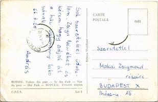 Borszék, Borsec; fürdő szálloda és park / spa hotel and park (EK)