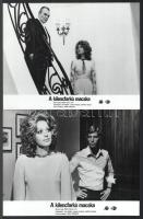 cca 1971 ,,A kilencfarkú macska" című olasz - NSZK - francia krimi jelenetei és szereplői, 8 db...