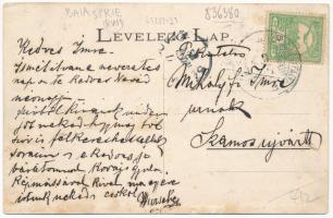 Felsőbánya, Baia Sprie; Dácsek Péter kiadása (Rb)