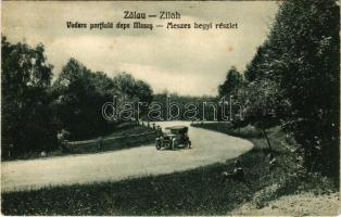 1929 Zilah, Zalau; Meszes hegyi részlet, autó / Vedere partiala depe Meses / road with automobiles (EK)