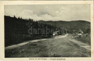 Kovászna, Covasna; Horgász gyógyforrás / Izvorul de cura Horgas / mineral water spring (EK)