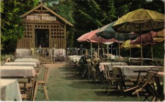 Szovátafürdő, Baile Sovata; Patakmajor étterem, kert, kirándulóhely. Kiadja Schnitzer Artur Nr. 221. / Restaurant Patac-Maior, garden (EK)