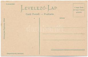 Szibiel, Bodapataka, Budenbach, Sibiel; Cancelaria comuala / Községháza. Joan Toparcean / town hall