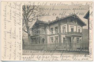 1930 Toplec, Toplet; villa. photo (EK)