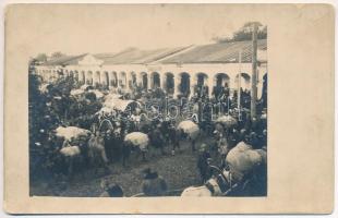 Brassó, Kronstadt, Brasov; Piac / market. Fotoatelier Gust photo (szakadás / tear)