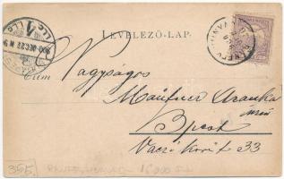 1900 Kalotaszeg, Tara Calatei; lakodalom / wedding folklore (EK)