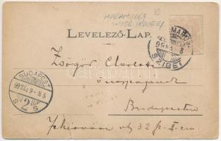 1899 (Vorläufer) Máramaros, Maramures; Kincstári telep. Mayer és Berger kiadása / sawmill, treasury ...