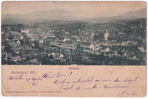 1901 Szelistye, Salistea Sibiului, Saliste; látkép / general view (EK)