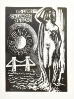 1970 Magyar Kisgrafika. Bp., Kisgrafika Barátok Köre, 8 sztl. lev. +37 t. Gyulai Líviusz, Kass János...