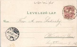 1897 (Vorläufer) Fiume, Rijeka; Schloss Tersatto / Trsat castle. Carl Otto Hayd Art Nouveau, floral,...