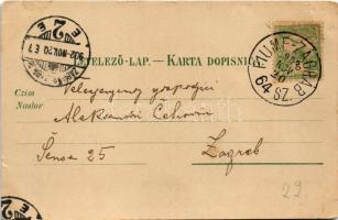1902 Károlyváros, Karlovac; Pogled na Zorin dom / színház / theatre + "FIUME-ZÁGRÁB 64. SZ.&quo...