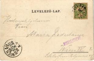 1900 Árvaváralja, Oravsky Podzámok; Árva vára / Schloss Árva / Oravsky zámok / castle (vágott / cut)