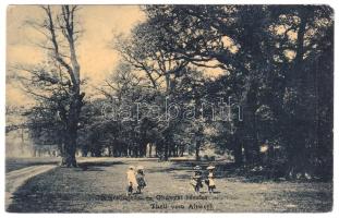 1908 Boksánbánya, Románbogsán, Németbogsán, Deutsch-Bogsan, Bocsa Montana; Óbányai részlet. W.L. 1123. / Teil vom Altwerk / general view (EM)