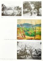 Haulisch Lenke: A szentendrei festészet. Kialakulása, története és stílusa 1945-ig. Bp., 1977, Akadé...