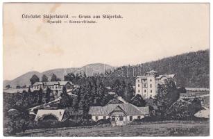 1908 Stájerlak, Steierlak, Stájerlakanina, Steierdorf, Anina; Sommerfrische / nyaraló. Scheitzner kiadása / villa, spa (EK)