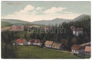 1908 Stájerlak, Steierlak, Stájerlakanina, Steierdorf, Anina; Sommerfrische / nyaraló. Scheitzner kiadása / villa, spa (EK)