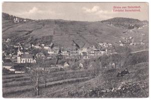 Stájerlak, Steierlak, Stájerlakanina, Steierdorf, Anina; látkép. Viktor Félser kiadása / general view (EK)