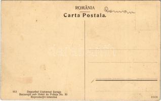 Sinaia, Valea Rea / valley, railway bridge (fa)