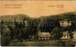 1908 Stájerlak, Steierlak, Stájerlakanina, Steierdorf, Anina; Freidenthal nyaralótelep. W.L. 1177. Hollschütz kiadása / Freidenthal Villencolonie / villa colony (vágott / cut)