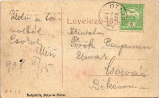1908 Stájerlak, Steierlak, Stájerlakanina, Steierdorf, Anina; Freidenthal nyaralótelep. W.L. 1177. H...