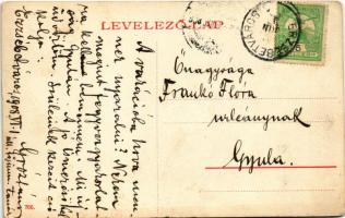 1908 Erzsébetváros, Dumbraveni; Római katolikus templom, piac, üzletek. W.L. (?) 766. / Catholic chu...