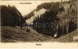 Sinaia, Valea Ialomitei / Ialomitei Cave. Editura J. Schwarzfeld