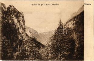 Sinaia, Pripor de pe Valea Cerbului / valley. Editura J. Schwarzfeld