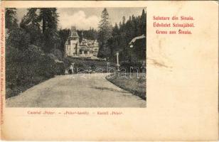 Sinaia, Castelul Peles / Peles kastély. A képeslevelezőlap gyűjtő kiadása / castle (fl)