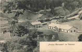 Tömösvölgy pansio