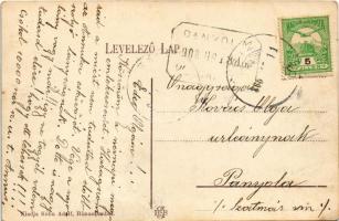 1908 Csíz, Csízfürdő, Kúpele Cíz; Milán nyaraló / villa + "PANYOLA POSTAI ÜGYN." (EK)