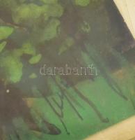 Nyáregyházi báró Nyáry Pál (?-?): Erdőszéle. Akvarell, papír. Jelezve jobbra lent. Üveg mögött, 17x1...