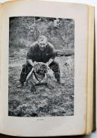 New Year litho (Emb.)