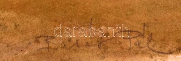 Baráth Pál (1950-): Ember a tájban. Akvarell, papír. Jelezve jobbra lent. Üvegezett keretben. 27×39 ...