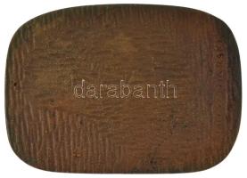 Lengyelország 1973. "Petőfi Sándor - PMRN Tarnow" bronz emlékplakett tokban. Szign.:Jan Wi...